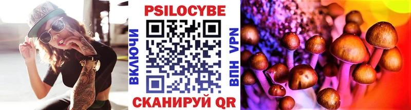 где найти   дарк нет официальный сайт  Псилоцибиновые грибы MAGIC MUSHROOMS  Тетюши 