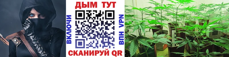 Канабис MAZAR  наркотики  Тетюши 